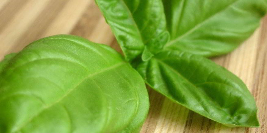 Рецепт свежего базиликового лимонада