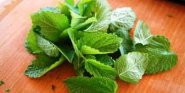 алкогольный напиток в стиле мохито