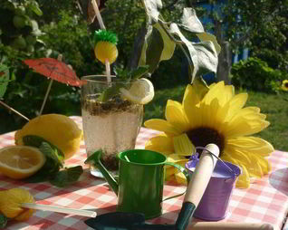 Дачный Мохито