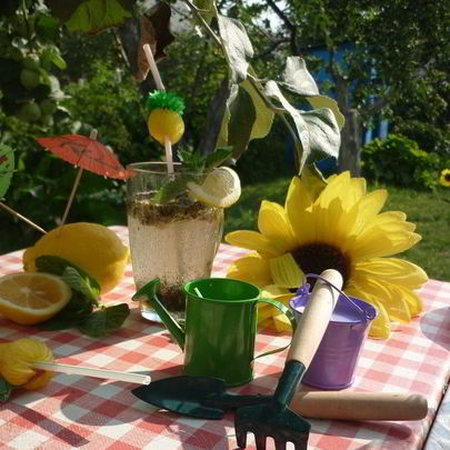 Дачный Мохито