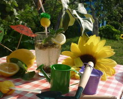 Дачный Мохито