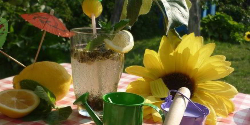 Рецепт дачного мохито