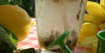 дачный мохито