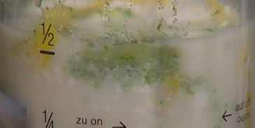 молочный коктейль с манго