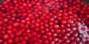 брусничный морс с медом