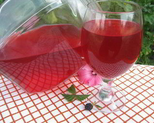 Ежевичный морс