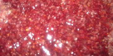 ежевичный морс