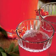 Рецепт Морса из черноплодной рябины с медом