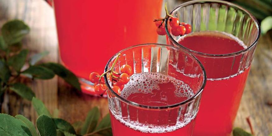 Рецепт морса из черноплодной рябины с медом