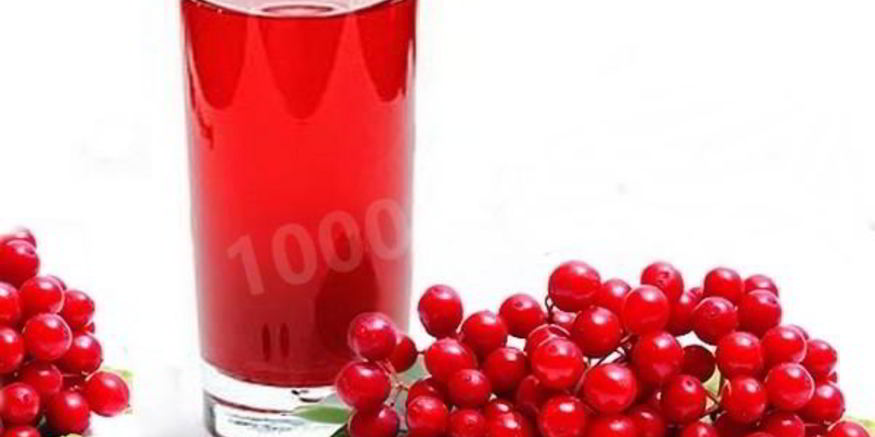Рецепт морса из калины