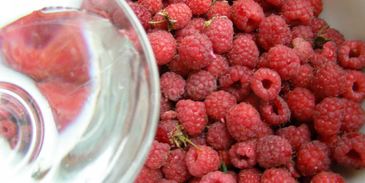 малиновая наливка из малины