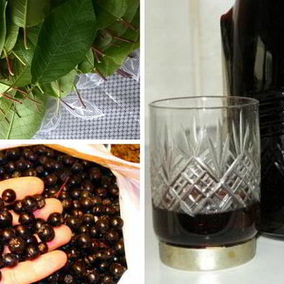 Наливка 100 листьев