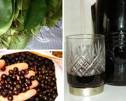 Наливка 100 листьев