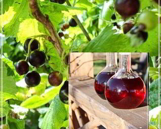 Наливка черносмородиновая