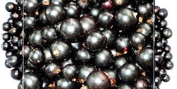 наливка черносмородиновая