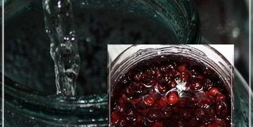 наливка черносмородиновая