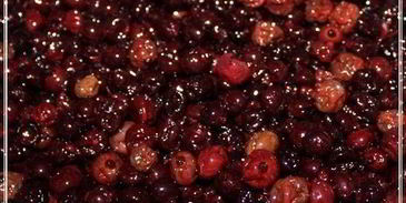 наливка черносмородиновая