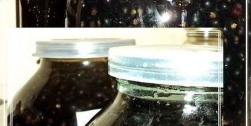 наливка черносмородиновая