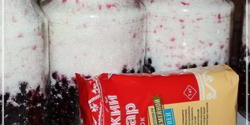 наливка черносмородиновая