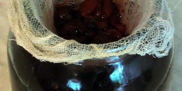 наливка из черешен