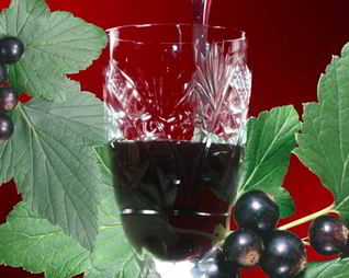 Наливка из черной смородины