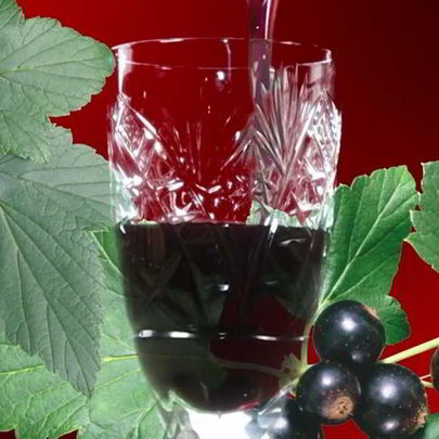 Наливка из черной смородины