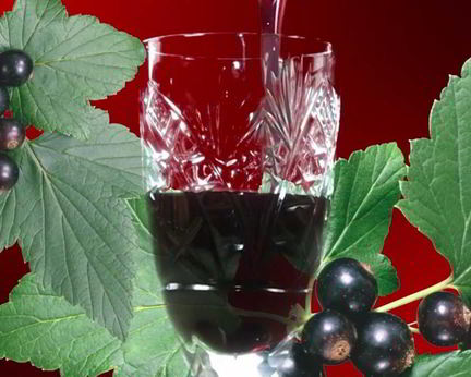 Наливка из черной смородины