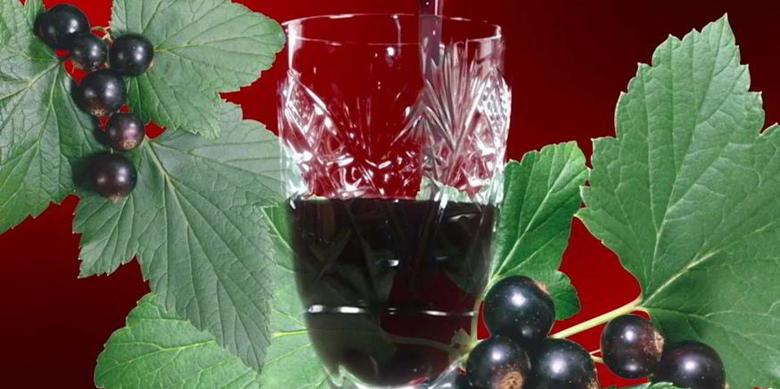 Рецепт наливки из черной смородины