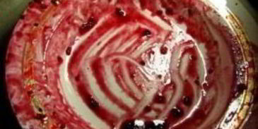 наливка из черной смородины