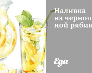 Наливка из черноплодной рябины