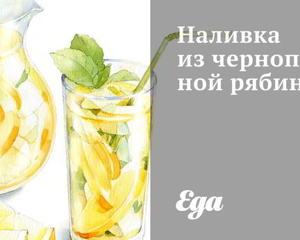 Наливка из черноплодной рябины