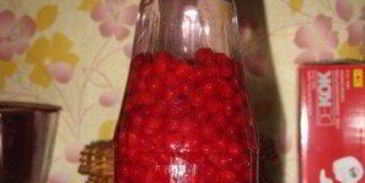 наливка из калины