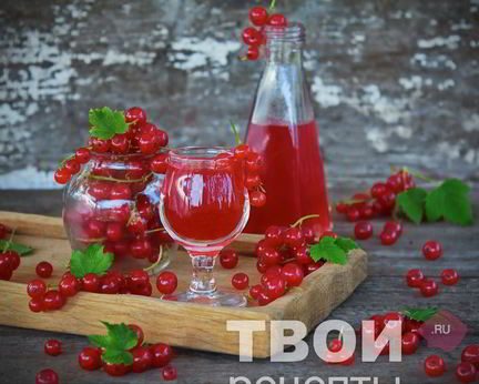 Наливка из красной смородины