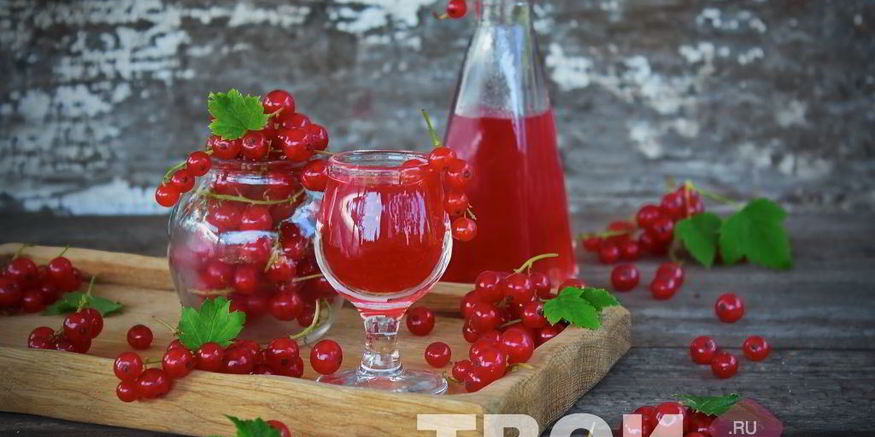 Рецепт наливки из красной смородины