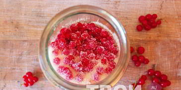 наливка из красной смородины