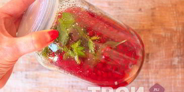 наливка из красной смородины