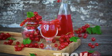 наливка из красной смородины