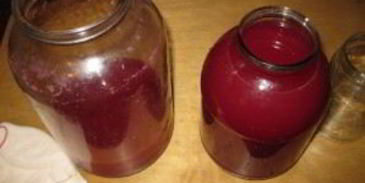 наливка из крыжовника и черной смородины
