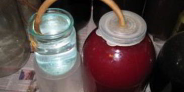 наливка из крыжовника и черной смородины