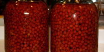 наливка из рябины