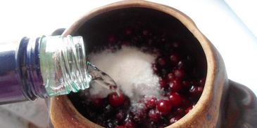 наливка-скороспелка