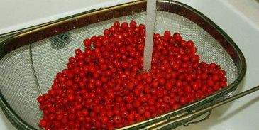 рябиновая наливка