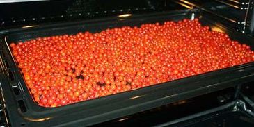 рябиновая наливка