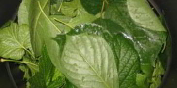 смородиновая наливка