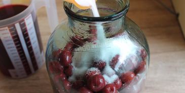 вишневая наливка на водке