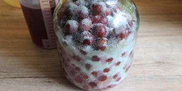 вишневая наливка на водке