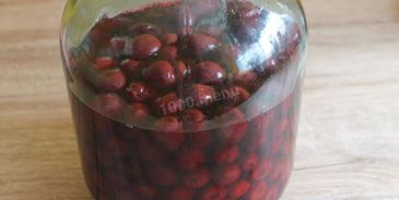 вишневая наливка на водке