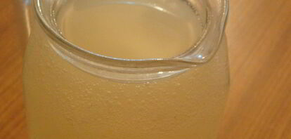 Рецепты напитков из лимона