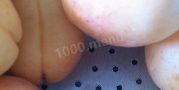 абрикосовая настойка