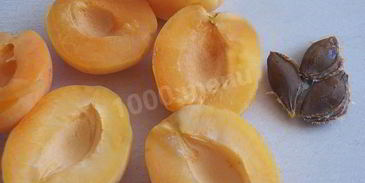 абрикосовая настойка